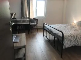 The Ozzy Room