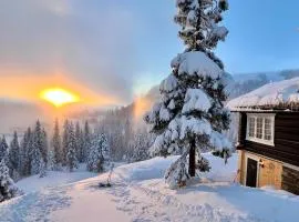 Cozy cabin apartment, ski-in ski-out at Kvitfjell