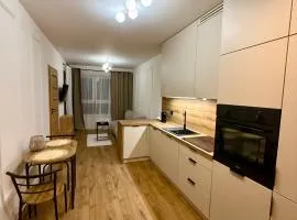 LOFT Apartament I Opole