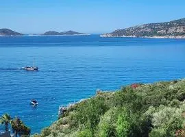 Azure Haven - A Seaside Retreat Surrounded by Nature