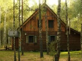 Biały Las Magiczna Stara Chata Puszcza Białowieska