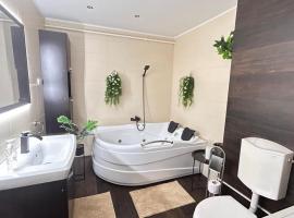 Apartament Cozy cu Jacuzzi Spa，位于阿拉德的酒店