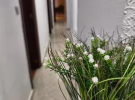 Alojamiento Comercio.