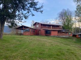 Cabañas Traitraiko Coñaripe，位于潘吉普伊的酒店