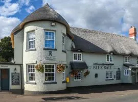 Blue Ball Inn, Sandygate, Exeter