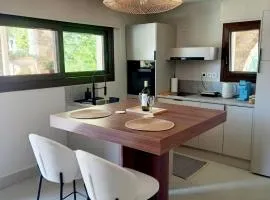 Ianos Living Spaces - 02