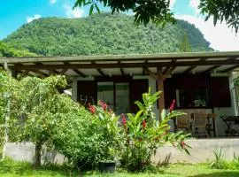 Ti Kaz Houelmont, Vue jardin tropical, proche plage de Rivière-Sens