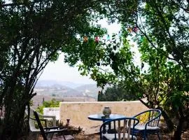 DC Family Home & Garden - Traditional village house