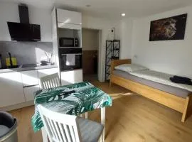 Fewo Helene im schönen Odw