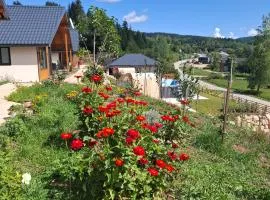 Sunnyside apartments, Pale, Ravna Planina, 4 kuce, 16 osoba