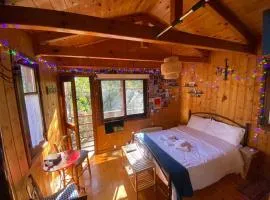 Η Χαρούμενη Αρκούδα