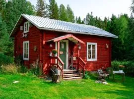Pioneer Cabin - Wilderness Adventures Sweden
