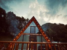 Chalet Carolina，位于Padeş的酒店