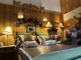 Apartamenty pod Wiciokrzewem