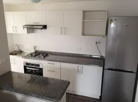 Serena Centro & Playa Apartment