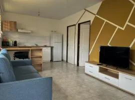 Kaz'horizon climatisé Montabo plages resto et wifi