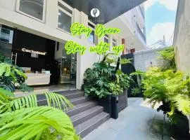 Cactusland Hotel Tan Binh Near T3 Station