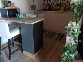 Cabane cozzi dépendance à la ferme avec jacuzzi