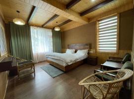 Mud Essence，位于Sissu的酒店