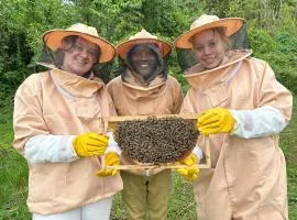 Apiculture museum & Accommodation