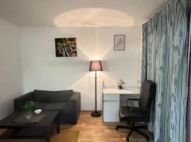 Stilvolle 2-Zimmer-Wohnung in zentraler Lage，位于沙夫豪森的自助式住宿