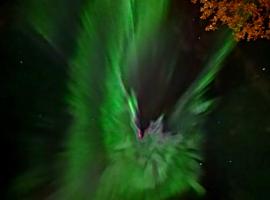 Fishermens House, 3 bedrooms apartment near the sea Medby Senja，位于Senja的住宿