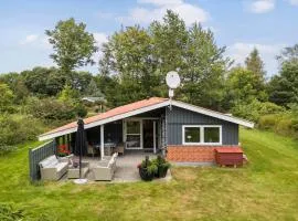 JB162-Fjerritslev-Ronnevej-4