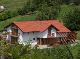 Pensiunea Casa din Vii，位于Şeuşa的酒店