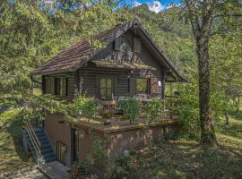 Vila Rozi, Osilnica - vacation house Pr' Vili Rozi，位于奥斯尼卡的酒店