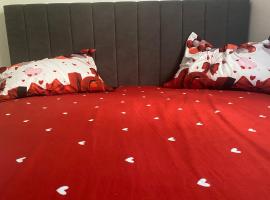 Garsonieră stil hotel，位于斯拉蒂纳的酒店