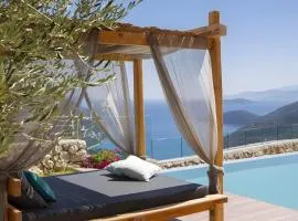 Modern Country Villa