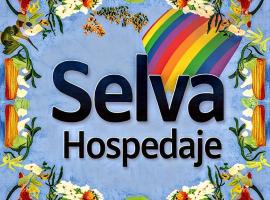 Selva Hospedaje，位于瓦尔帕莱索的青旅