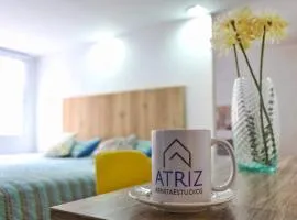 Atriz apartaestudio 201 Norte Cama King