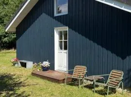 Moderne sommerhus i naturskønne omgivelser