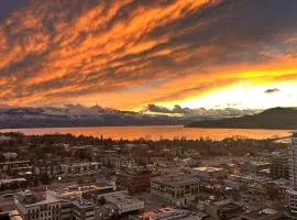 modern private apartment in a 34-story tower with rooftop lounge