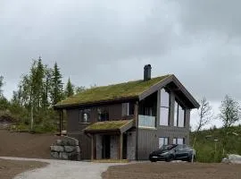 Exclusive cabin with sauna and mountain view in Geilo