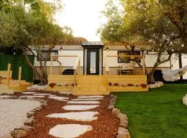 צימרבוס כנרת Galilee Bus