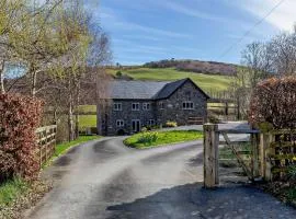 2 Bed in Llanidloes 95815