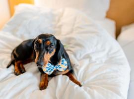 布鲁塞尔机场宜必思酒店，位于迭戈姆的酒店