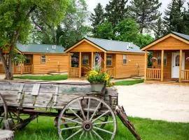 Cozy Cabin Perfect for a Romantic Escape with BBQ in Dayton, Wyoming