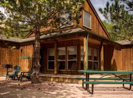 Luxury Cabin with ATV Trails near the Continental Divide in Colorado，位于萨利达的酒店