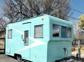 Cute Vintage Caravan for a Peaceful Escape in Niwot, Colorado