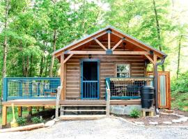 Relaxing Getaways to Chattanooga, Tennessee, in this Colorful Pet-Friendly Cabin，位于查塔努加的酒店