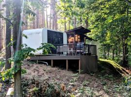 Secluded Modern Tiny House with Wood-Fired Hot Tub Near Trails in Sears, Michigan，位于Sears的酒店