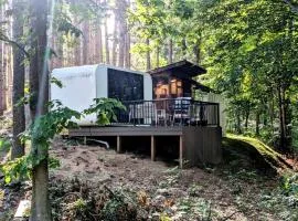 Secluded Modern Tiny House with Wood-Fired Hot Tub Near Trails in Sears, Michigan