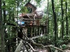 Uniquely Crafted Tree House Rental near Lake Saint Catherine, Vermont