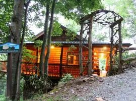 Romantic One-Bedroom Cabin with a Fireplace near Asheville, North Carolina