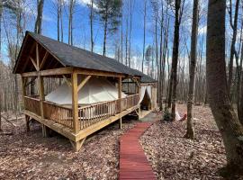 Magical Glamping Tent in the Woods near Stone Mountain State Park, North Carolina，位于Traphill的酒店
