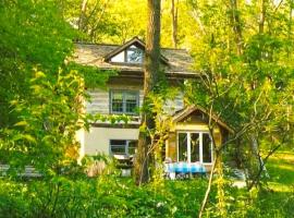 Rustic Norwegian-Style Log Cabin Rental near the Upper Iowa River in Decorah, Iowa，位于迪科拉的酒店