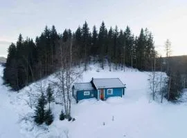 The Blue Cabin